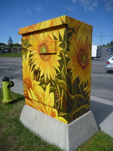 decorative electrical boxes|outdoor electrical box covers decorative.